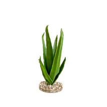 Sydeco umetni dekor Terra Aloe - 29 cm