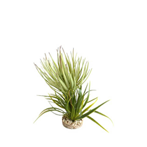 Sydeco umetni dekor Terra trava - 23 cm