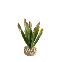 Sydeco umetni dekor Terra kaktus - 17 cm