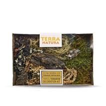 Terra Natura dekorativni set Tropical za terarije - 5 kos