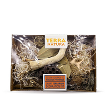 Terra Natura dekorativni set Desert za terarije - 6 kos