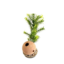 Sydeco umetni dekor Shrimp Ball - 7 cm