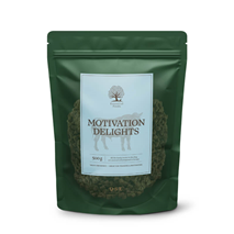Essential Foods Motivation Delights pasji priboljški, govedina - 500 g
