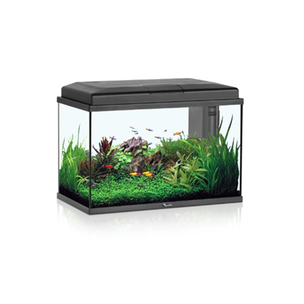 Aquatlantis akvarij Start 55 (57 l), črn - 55 x 30 x 40 cm