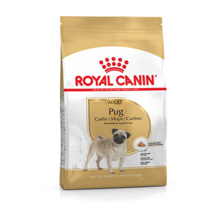 Royal Canin Pug Adult