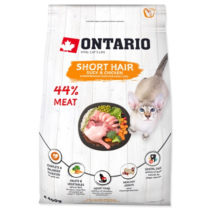 Ontario Cat Shorthair - raca in piščanec