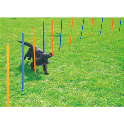 Pawise agility komplet za slalom, 12 kos - 116 cm