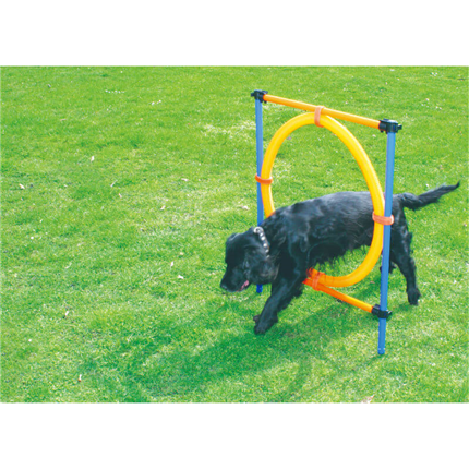 Pawise agility obroč - 55 cm