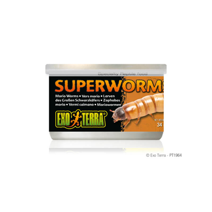 Exo Terra Super Worms zofobi - 34 g