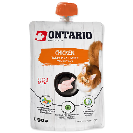 Ontario Cat pasta s piščancem