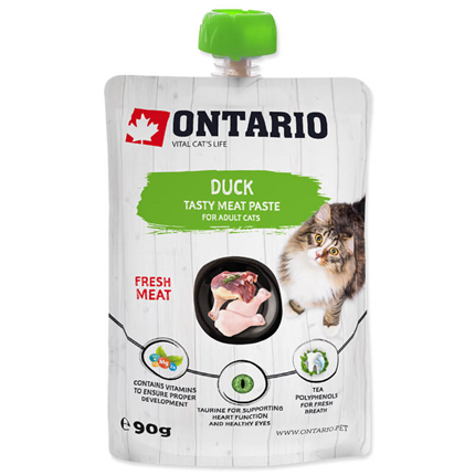 Ontario Cat pasta z raco