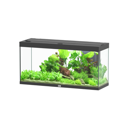 Aquatlantis akvarij Splendid 120 LED 2.0, črn - 294 L / 120,4 x 40 x 61,1 cm