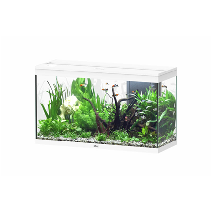 Aquatlantis akvarij Splendid 100 LED 2.0, bel - 249 L / 101,7 x 40 x 61,1 cm