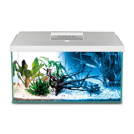 Aquael LED akvarijski set Leddy 60 Day&Night, bel - 54 L / 60 x 30 x 30 cm