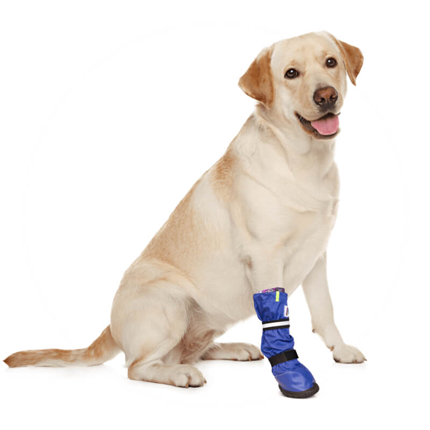 Medical Pets Boot vodoodporni škorenj za pse - L, nizek