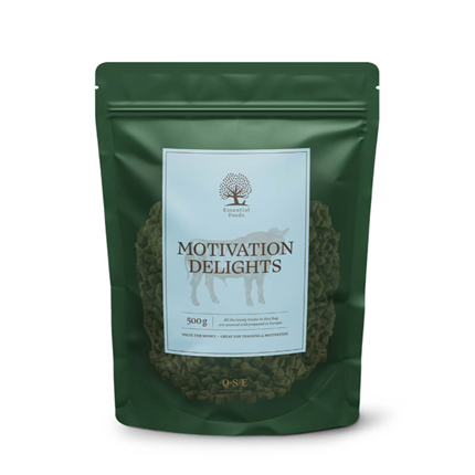 Essential Foods Motivation Delights pasji priboljški, govedina - 500 g