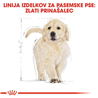 Royal Canin Golden Retriever Puppy - 12 kg