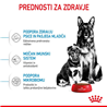 Royal Canin Maxi Starter - 15 kg
