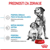 Royal Canin Medium Starter - 4 kg