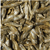 Tropical Dried Fish - 250 ml / 35 g
