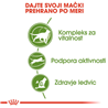 Royal Canin Outdoor +7 - 2 kg