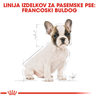 Royal Canin French Bulldog Puppy - 3 kg