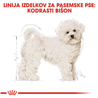 Royal Canin Bichon Frise - 1,5 kg