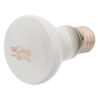 Repti Planet grelna žarnica Daylight Frosted - 25 W