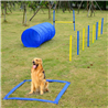 Pawise agility komplet za trening, več elementov - modro rumen