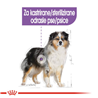 Royal Canin Medium Adult Sterilised - 12 kg