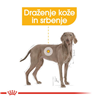 Royal Canin Maxi Adult Dermacomfort - 12 kg