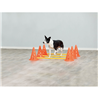 Pawise agility palice s stožci - 3 x 6 kos