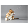 Flamingo Puppy povodec Dolly, lila - 5 m / 4 mm