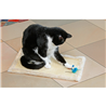 Enjoy praskalna preproga Sneezy, siva - 42 x 31 cm