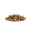 Forza10 Cat Active veterinarska dieta Hypoallergenic, riba in insekti - 1,5 kg