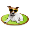 All For Paws Chill Out hladilna blazina Kiwi, kivi - 60 cm