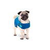 All for paws Chill Out plavalni jopič za psa S, moder - 30 cm