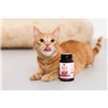 Myco Tails Motion&Vitality prehranski dodatek za pse in mačke - 80 g