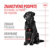 Royal Canin funkcionalni žvečljivi priboljški Digestion Adult - 160 g