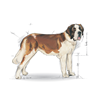 Royal Canin Giant Junior - 15 kg