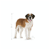 Royal Canin Giant Junior - 15 kg