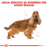 Royal Canin Cocker Adult - 3 kg