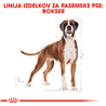 Royal Canin Boxer Adult - 12 kg