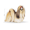 Royal Canin Shih-tzu Adult