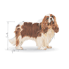 Royal Canin Cavalier King Charles španjel Adult