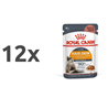 Royal Canin Intense Beauty - žele 12 x 85 g