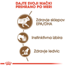 Royal Canin Ageing (12+) - žele