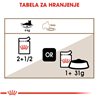 Royal Canin Ageing (12+) - žele