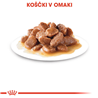 Royal Canin Hairball Care - omaka