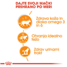 Royal Canin Intense Beauty - omaka